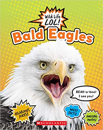 Bald Eagles (Wild Life Lol!) (Library)