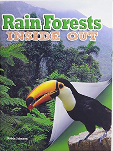 Rain Forests Inside Out