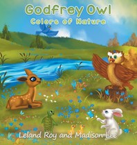 Godfrey Owl: Colors of Nature