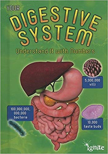 Your Digestive System: Understand It with Numbers