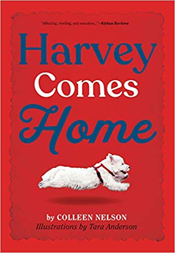 Harvey Comes Home