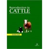 Reproduction in Cattle