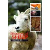 Diseases of Sheep