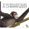 Do You Really Want to Meet a Chimpanzee?