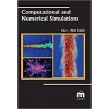 Computational and Numerical Simulations