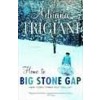 Big Stone Gap (Paperback)