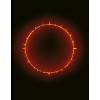 The Lives of Images, Vol. III (Paperback)