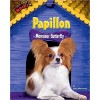 Papillon: Monsieur Butterfly